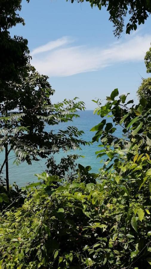 Nuquí Reserva Natural Selva Mojada מראה חיצוני תמונה