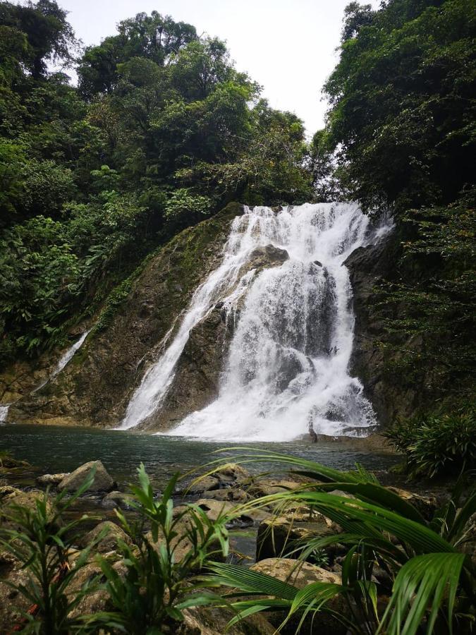 Nuquí Reserva Natural Selva Mojada מראה חיצוני תמונה